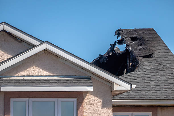 Top rated local Fire Damage Repair specialists in Morton, PA